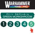画像2: 【10月24日発売予定：予約】[ウォーハンマーカラー：TonePRO] 【5】グリーン・モルクシュルーム (2)