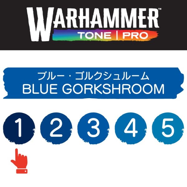 画像2: 【10月24日発売予定：予約】[ウォーハンマーカラー：TonePRO] 【1】ブルー・ゴルクシュルーム (2)
