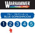画像2: 【10月24日発売予定：予約】[ウォーハンマーカラー：TonePRO] 【2】ブルー・ゴルクシュルーム (2)