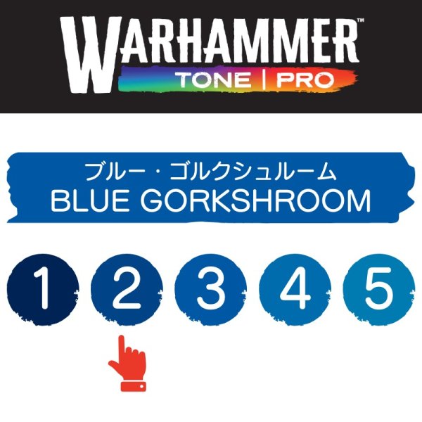 画像2: 【10月24日発売予定：予約】[ウォーハンマーカラー：TonePRO] 【2】ブルー・ゴルクシュルーム (2)