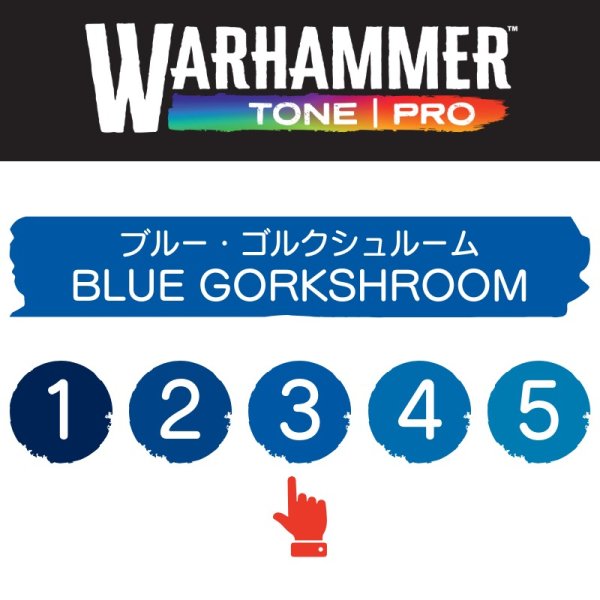 画像2: 【10月24日発売予定：予約】[ウォーハンマーカラー：TonePRO] 【3】ブルー・ゴルクシュルーム (2)