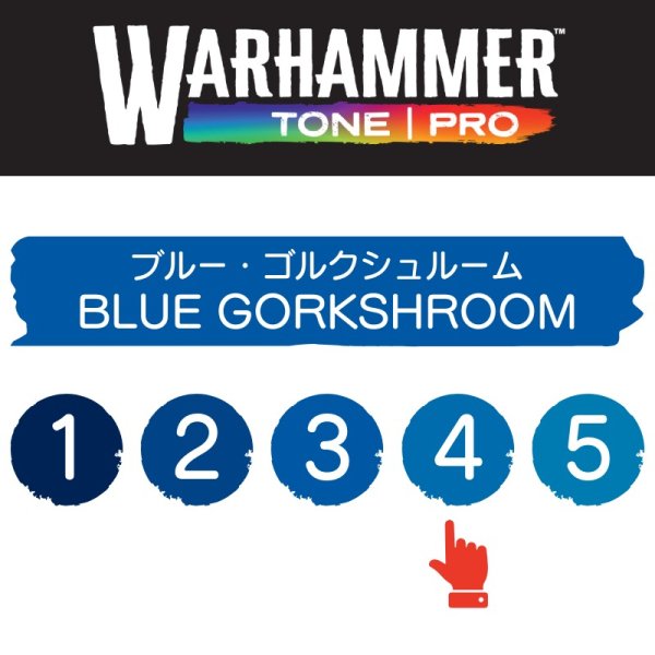 画像2: 【10月24日発売予定：予約】[ウォーハンマーカラー：TonePRO] 【4】ブルー・ゴルクシュルーム (2)