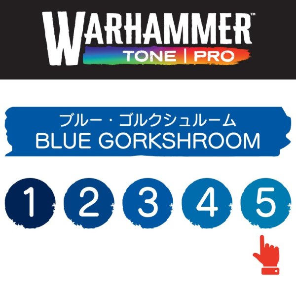 画像2: 【10月24日発売予定：予約】[ウォーハンマーカラー：TonePRO] 【5】ブルー・ゴルクシュルーム (2)