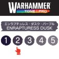 画像2: 【10月24日発売予定：予約】[ウォーハンマーカラー：TonePRO] 【2】エンラプチュレス・ダスク・パープル (2)