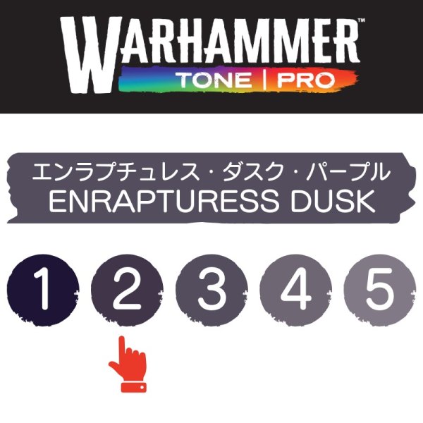 画像2: 【10月24日発売予定：予約】[ウォーハンマーカラー：TonePRO] 【2】エンラプチュレス・ダスク・パープル (2)