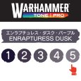 画像2: 【10月24日発売予定：予約】[ウォーハンマーカラー：TonePRO] 【5】エンラプチュレス・ダスク・パープル (2)