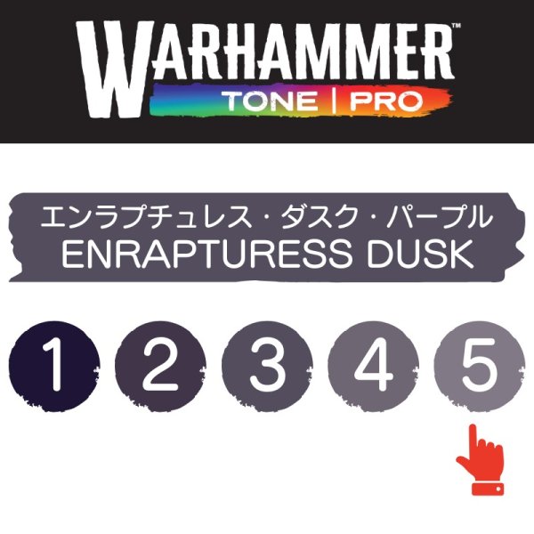 画像2: 【10月24日発売予定：予約】[ウォーハンマーカラー：TonePRO] 【5】エンラプチュレス・ダスク・パープル (2)