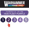 画像2: 【10月24日発売予定：予約】[ウォーハンマーカラー：TonePRO] 【2】ハイヴフリート・パープル (2)