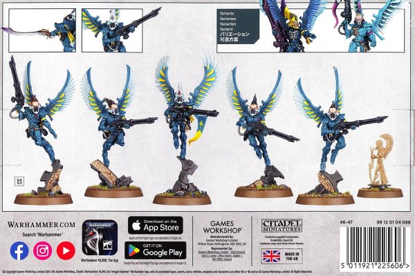 画像2: [アエルダリ] スゥーピング・ホーク (2)