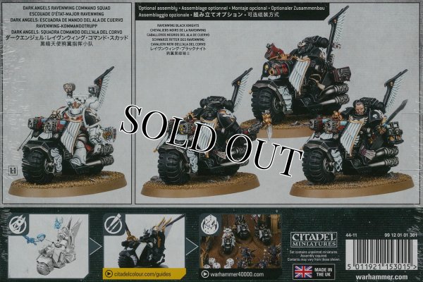 画像2: [ダークエンジェル] レイヴンウィング・コマンド・スカッド (2)