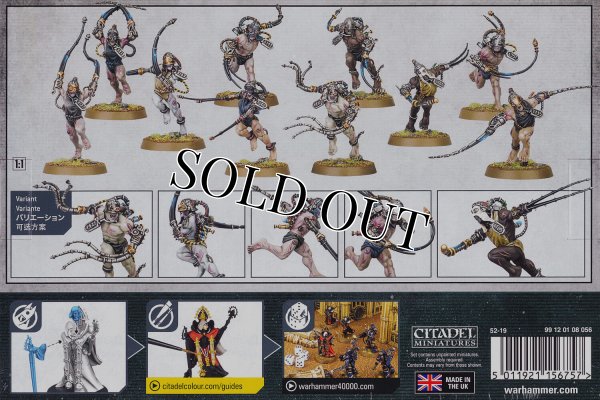 画像2: ★[アデプタ・ソロリタス] アルコ＝フラジェラント (2)