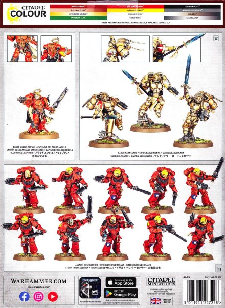 画像2: [コンバットパトロール] ブラッドエンジェル (2)