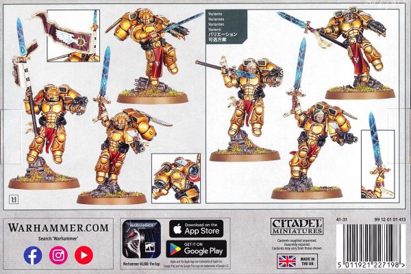 画像2: [ブラッドエンジェル] サングィナリー・ガード (2)