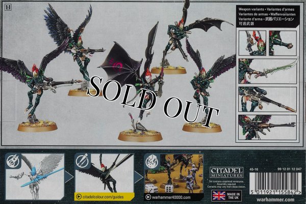 画像2: [デュカーリ] スカージ (2)