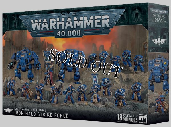 画像1: 【2025年11月28日発売予定】[バトルフォース] スペースマリーン：“鋼鉄の光輪”打撃部隊【11月23日まで会員は予約特価10%OFF】 (1)