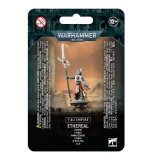 タウ　クルートセット ミニチュアのみ NEXTWEEK】タウ(クルート)アーミーセットやボックスドゲーム色々