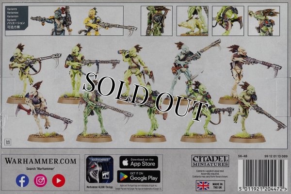 画像2: [タウ・エンパイア] クルート・カーニヴォア (2)