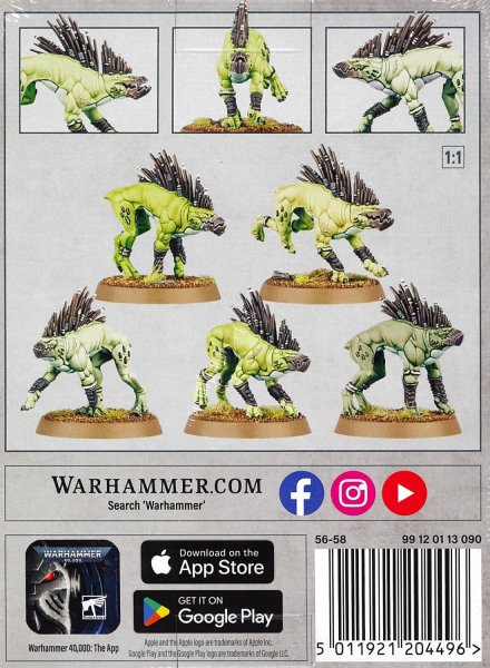 画像2: [タウ・エンパイア] クルートハウンド (2)