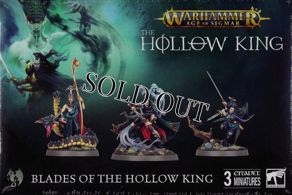 画像1: [ソウルブライト・グレイヴロード]  虚ろの王刃団 (1)