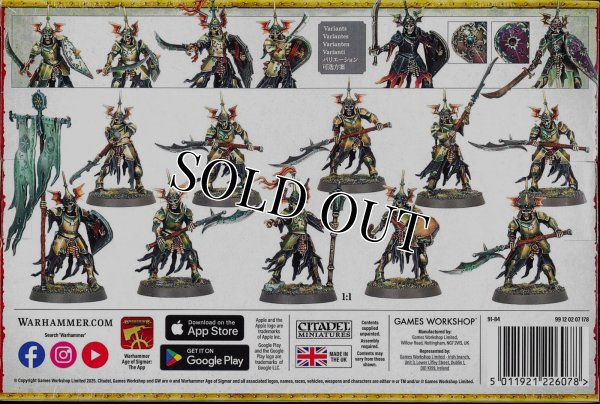 画像2: [ソウルブライト・グレイヴロード] バロウガード (2)