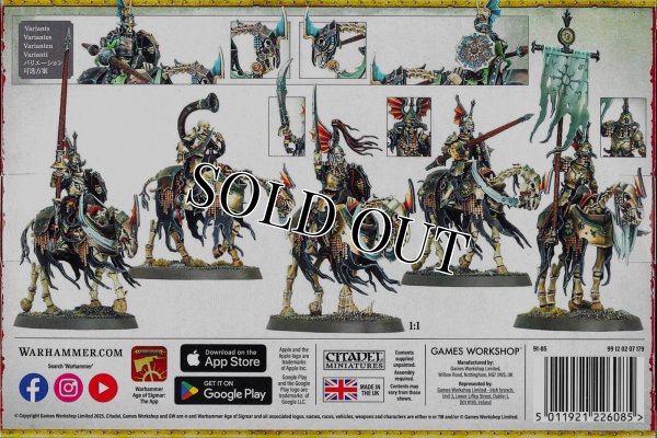 画像2: [ソウルブライト・グレイヴロード] バロウナイト (2)