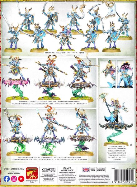 画像2: [スピアヘッド] ディサイプル・オヴ・ティーンチ：ツァーンゴウルの戦群れ (2)