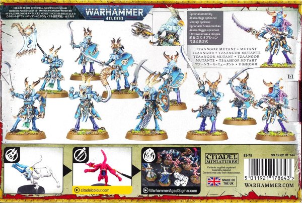 画像2: [ディサイプル・オヴ・ティーンチ] ツァーンゴール (2)