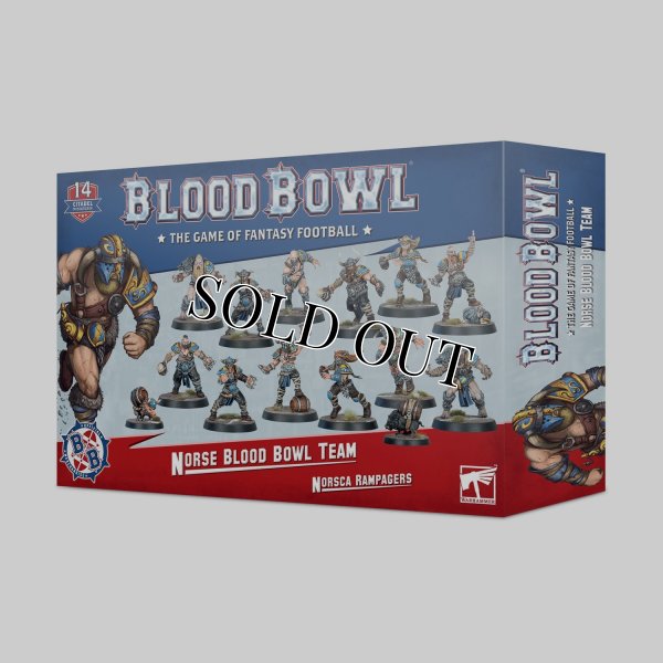 画像1: ◆取り寄せ商品◆ [ブラッドボウル] NORSE ・チーム (1)