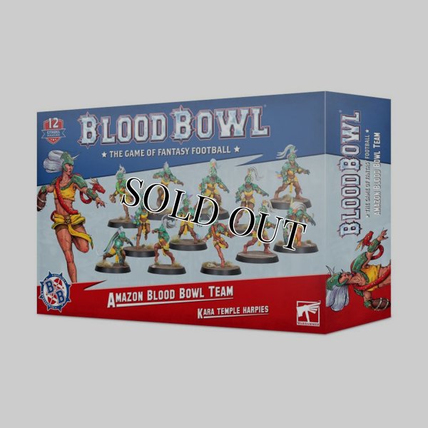 画像1: ◆取り寄せ商品◆ [ブラッドボウル] アマゾン・チーム (1)