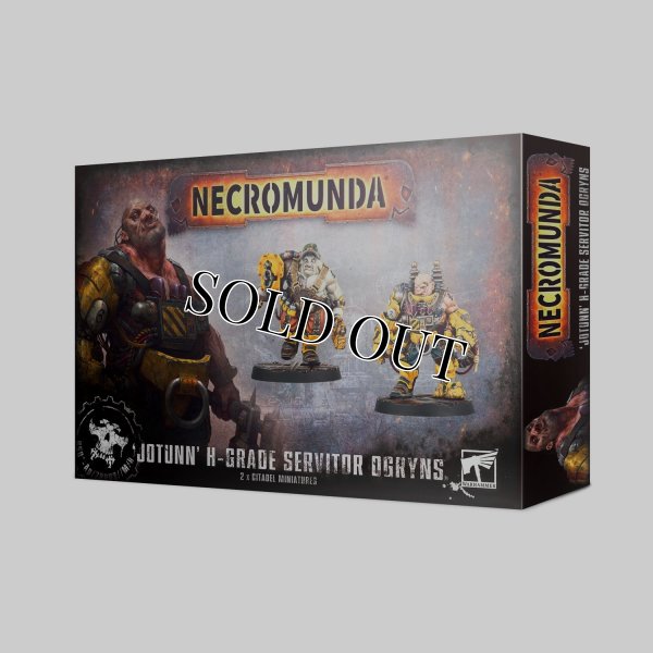 画像1: ◆取り寄せ商品◆ [ネクロムンダ] JOTUNN H-GRADE SERVITOR OGRYNS (1)