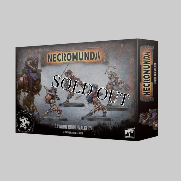 画像1: ◆取り寄せ商品◆ [ネクロムンダ] コーダー・リッジウォーカー (1)