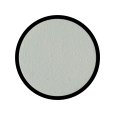 画像2: [シタデルカラー：BASE] IONRACH SKIN イオンラック・スキン (2)