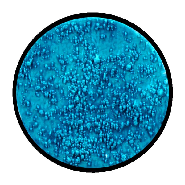 画像2: [ファレホ：ゲームカラー：インク] ダークターコイズ (2)