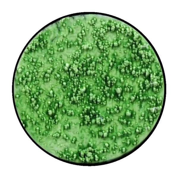 画像2: [ファレホ：ゲームカラー：インク] ブラックグリーン (2)