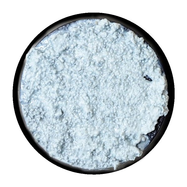 画像2: [ファレホ：エクスプレスカラー] テンプラーホワイト (2)