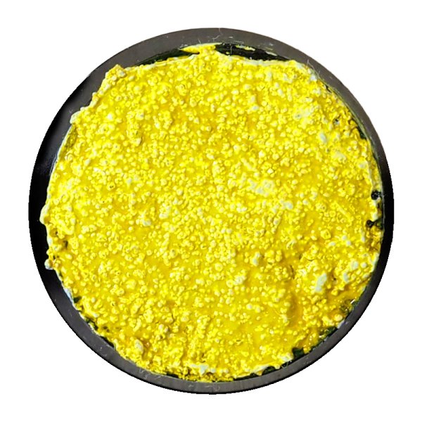 画像2: [ファレホ：エクスプレスカラー] インペリアルイエロー (2)