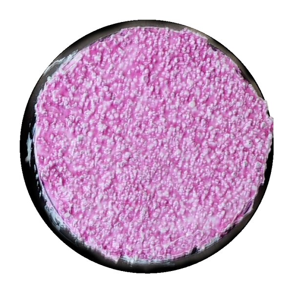 画像2: [ファレホ：エクスプレスカラー] フルイドピンク (2)