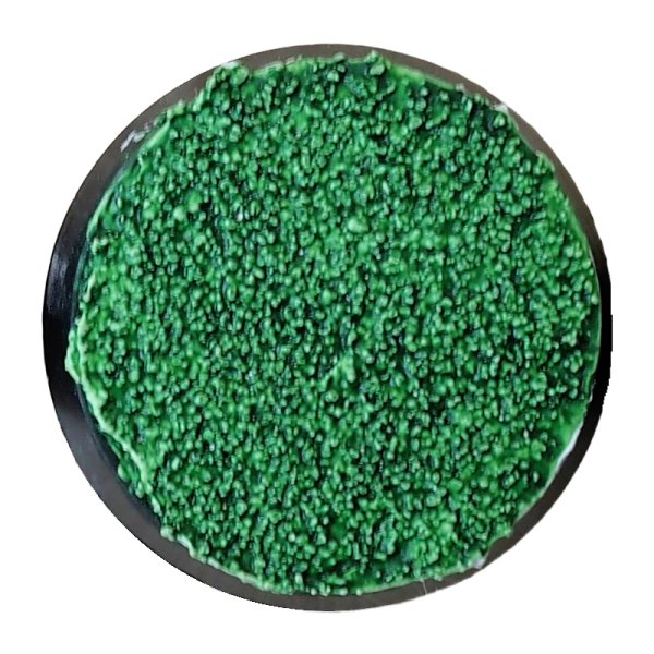 画像2: [ファレホ：エクスプレスカラー] フォレストグリーン (2)