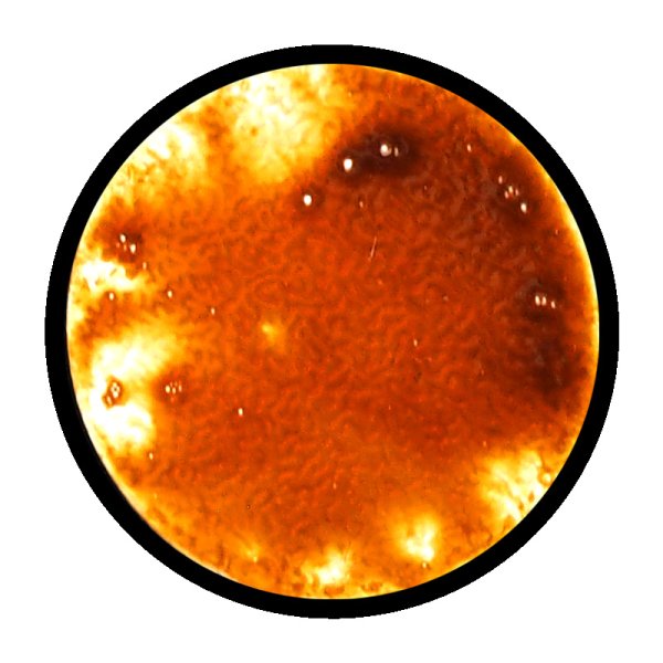 画像2: [ファレホ：ゲームカラー：スペシャルFX] シックブラッド (2)