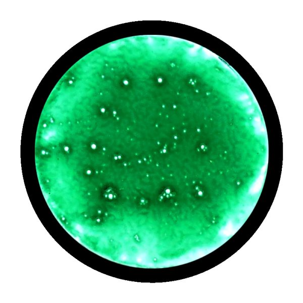 画像2: [ファレホ：ゲームカラー：スペシャルFX] アシッド (2)