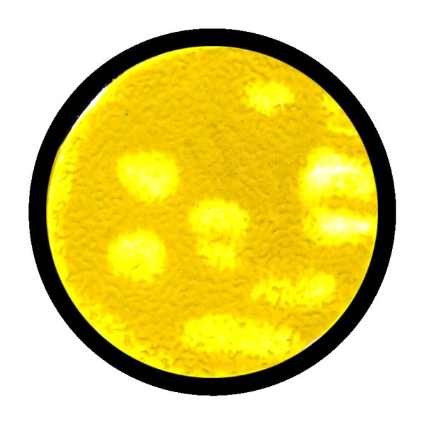 画像2: [ファレホ：ゲームカラー：スペシャルFX] モスアンドリケン (2)