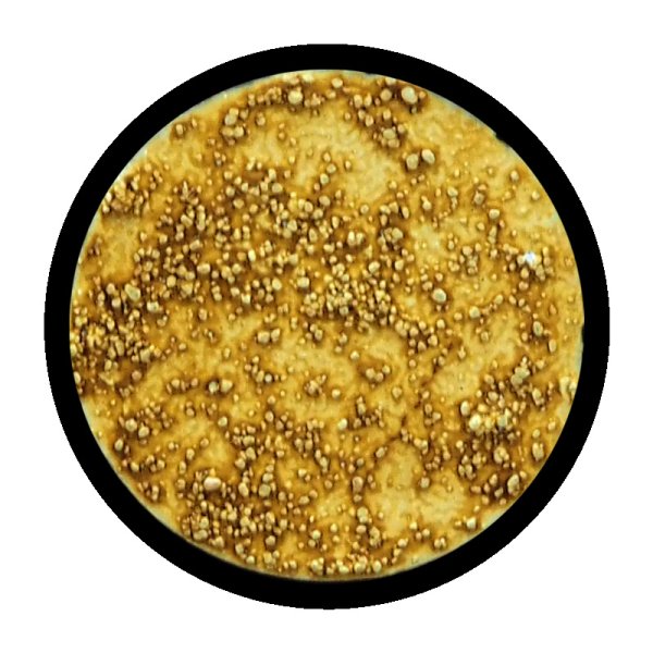 画像2: [ファレホ：ゲームカラー：ウォッシュ] セピア (2)