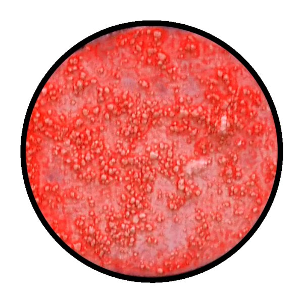 画像2: [ファレホ：ゲームカラー：ウォッシュ] レッド (2)