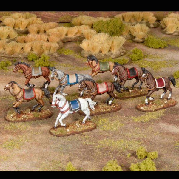 画像3: [GENERAL ACCOUTREMENTS] ホース HORSES (3)