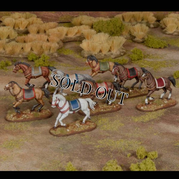 画像3: [GENERAL ACCOUTREMENTS] ホース HORSES (3)