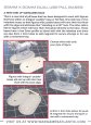 画像2: [ベース] WARGAME ATLANTIC：25mm×50mmデュアル・ユーズ・ピル・ベース (2)