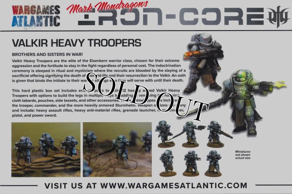 画像2: [IRON-CORE] ヴァルキリー・ヘヴィ・トルーパー VALKIR HEAVY TROOPERS (2)